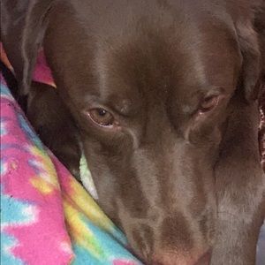 Meet your Posher, Elaine